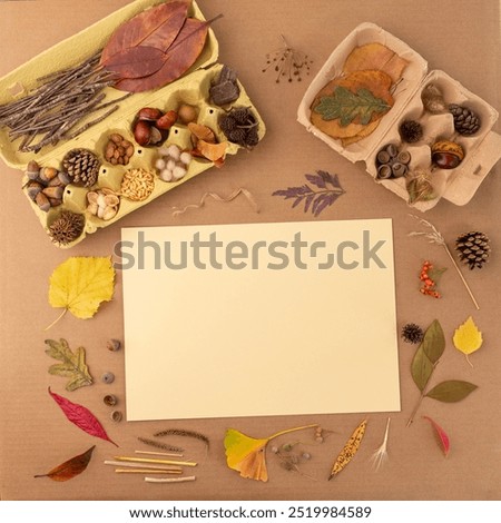 Autumn inspired flat lay with pumpkins and dried leaves