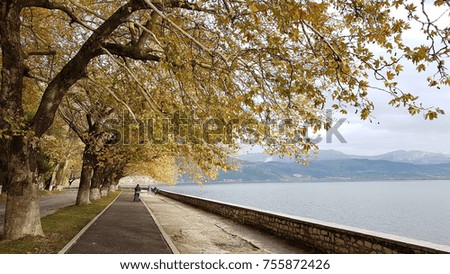autumn in Ioannina city Epirus Greece trees yellow leaves beside the lake pamvotis