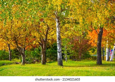 Autumn Also Known As Fall. Eastern Canada And New England Are Famous For Their Fall Foliage, Which Attracts A Lot Of Tourism To The Regions Worth Billions Of US Dollars