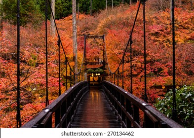 Autumn Kyoto