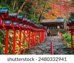 Autumn in Kyoto: Kifune Shrine with a row of torii gates along the approach