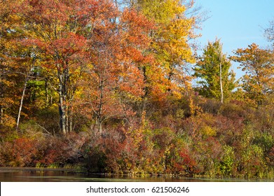 Autumn Lake Ablaze With Color.   Gouldsboro State Park In Pennsylvania