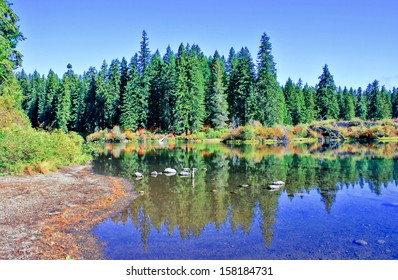 Autumn Lake (Clear Lake, Oregon)