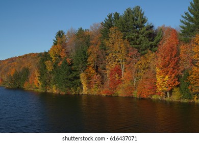 Autumn Lake.   Lackawanna State Park In Pennsylvania