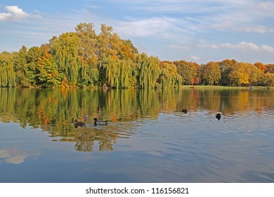 Autumn Lake In Nowa Huta, Krakow, Poland