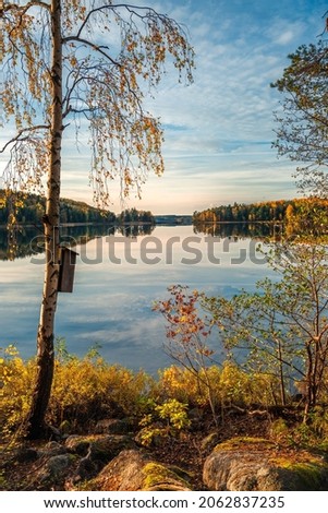 Autumn lake vertical format with a birds nest in the tree