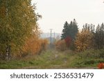 Autumn landsape with colourful trees. Cloudy autumn day.