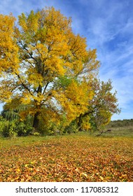 Autumn landscape - Shutterstock ID 117085312