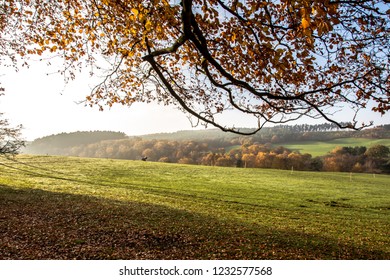 Autumn Landscape Across The Staffordshire Countryside, England, UK