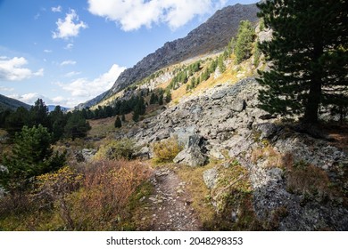 autumn landscape of Altai valley 