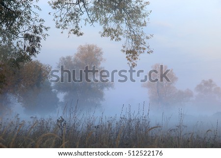 autumn landscape amazing misty dawn in the grove on the banks of the river