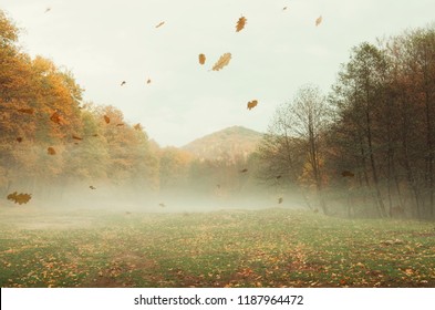 autumn landscape background with leaves falling in the wind