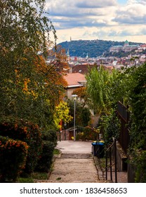 Autumn Landscape Background On Gellért Hill