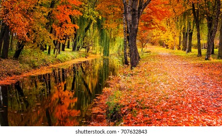 Autumn landscape beautiful colored trees over the river, glowing in sunlight. wonderful picturesque background. color in nature. gorgeous view.