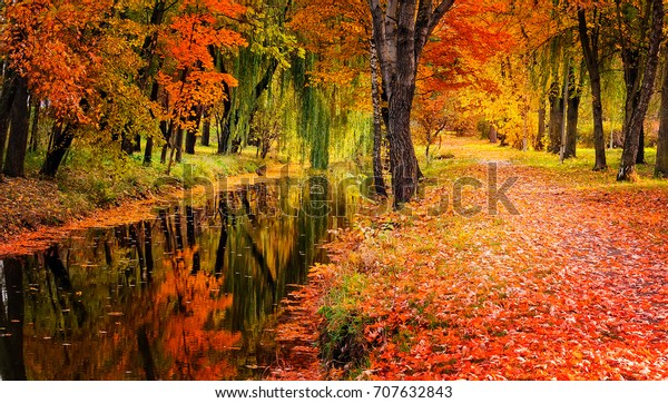 日差しの光に輝く秋の景色の美しい木 素晴らしい絵のような背景 自然の中の色 素晴らしい景色 の写真素材 今すぐ編集