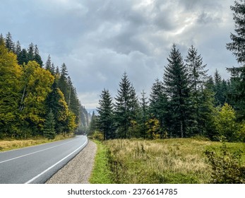 Autumn landscape of the Carpathian Mountains and a winding road between the hills. Beautiful seasonal nature background with green and yellow hills. Blue sky and white clouds. Panoramic view. - Shutterstock ID 2376614785