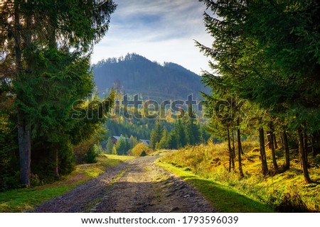 Autumn landscape in the Carpathians. A dirt road leads to the mountain peaks. Early autumn in the highlands