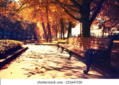 Autumn Landscape In The City Park