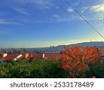 Autumn landscape of the city of Przemysl. Poland