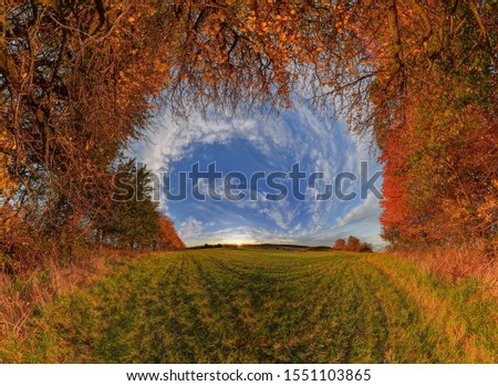 Similar – Foto Bild schräger Baum Winter