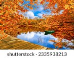 Autumn landscape in colorful lake. Golden fall leaves on beautiful lake. Red forest scenery in stunning nature. Autumn colors in the pond in the deep forest. Fall season in colorful forest.