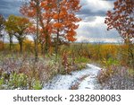 Autumn landscape of colorful trees surrounding a hilly segment of The Ice Age Trail in Wisconsin, lightly covered with the season