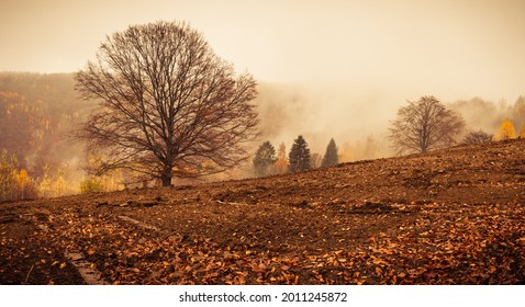 Autumn Landscape, Autumn Colors Picture, Muránska Planina