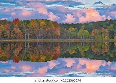 Autumn Landscape At Dawn Of The Shoreline Of Deep Lake With Mirrored Reflections In Calm Water, Yankee Springs State Park, Michigan, USA