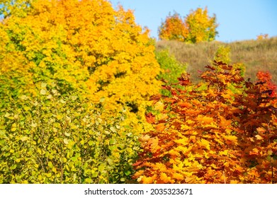 Autumn Landscape, Deciduous Forest. Our Autumn Photo Gallery Is Full Of Landscapes Showcasing Beautiful Autumn Colors From Many Areas