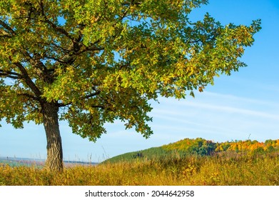 Autumn Landscape, Deciduous Forest. Our Autumn Photo Gallery Is Full Of Landscapes Showcasing Beautiful Autumn Colors From Many Areas