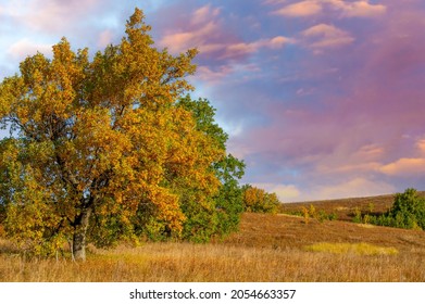 Autumn Landscape, Deciduous Forest. Our Autumn Photo Gallery Is Full Of Landscapes Showcasing Beautiful Autumn Colors From Many Areas