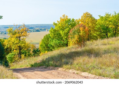 Autumn Landscape, Deciduous Forest. Our Autumn Photo Gallery Is Full Of Landscapes Showcasing Beautiful Autumn Colors From Many Areas