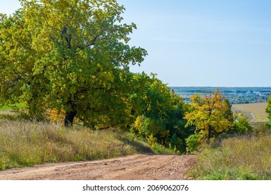 Autumn Landscape, Deciduous Forest. Our Autumn Photo Gallery Is Full Of Landscapes Showcasing Beautiful Autumn Colors From Many Areas