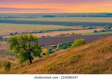 Autumn Landscape, Deciduous Forest. Our Autumn Photo Gallery Is Full Of Landscapes Showcasing Beautiful Autumn Colors From Many Areas