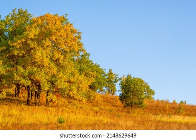 Autumn Landscape, Deciduous Forest. Our Autumn Photo Gallery Is Full Of Landscapes Showcasing Beautiful Autumn Colors From Many Areas