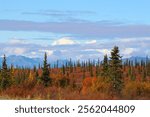 Autumn landscape in Denali National Park the background of Mount Denali, formerly Mount McKinley, Alaska