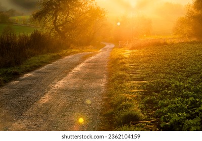 Autumn landscape with dirt road, trees, fields at sunset - Powered by Shutterstock