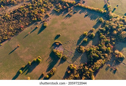 Autumn Landscape With Drone View