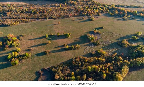 Autumn Landscape With Drone View