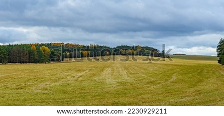 autumn landscape with field, high seats and forest