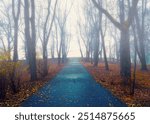 Autumn landscape- foggy autumn park alley with bare trees and dry fallen orange autumn leaves, autumn park scene in foggy weather