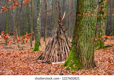 19 Kabaski forest Images, Stock Photos & Vectors | Shutterstock