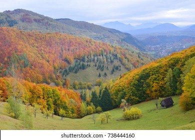autumn landscape, forest fall - Shutterstock ID 738444160