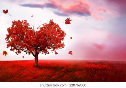 Autumn Landscape With Heart Shape Tree 