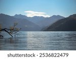 Autumn Landscape of Lake Wanaka, South Island, New Zealand: tree at foreground, moutain range in background, the lake in mid ground.