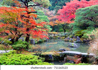 Similar Images, Stock Photos & Vectors of Autumn landscape autumn ...