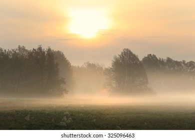 Autumn Landscape Misty Dawn In A Glade Oak Grove