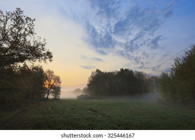 Autumn Landscape Misty Dawn In A Glade Oak Grove