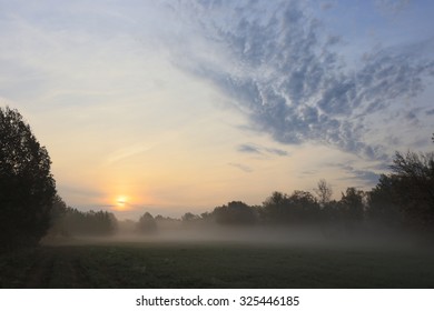 Autumn Landscape Misty Dawn In A Glade Oak Grove