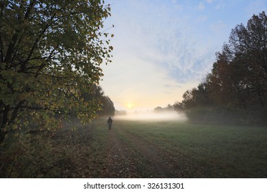 Autumn Landscape Misty Dawn In A Glade Oak Grove